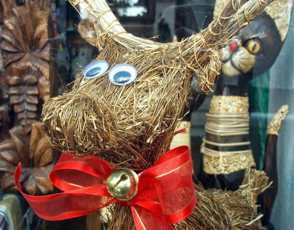 MEXICO and BEYOND: LAURA'S PHOTO JOURNEY: CHRISTMAS CELEBRATIONS IN