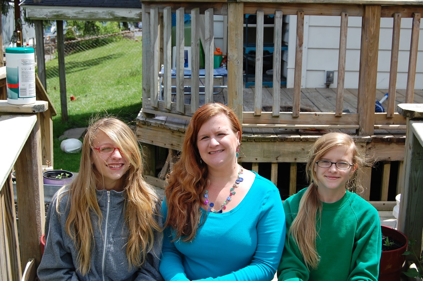 The Misadventures of an Ordinary House Wife Almost Summer an Update