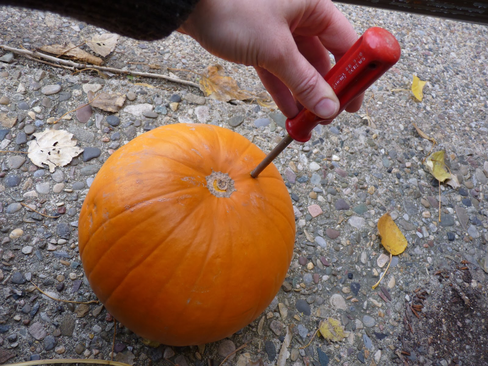 d i y d e s i g n Pumpkin Week Decorating Outside