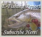Get our fishing report in your email!