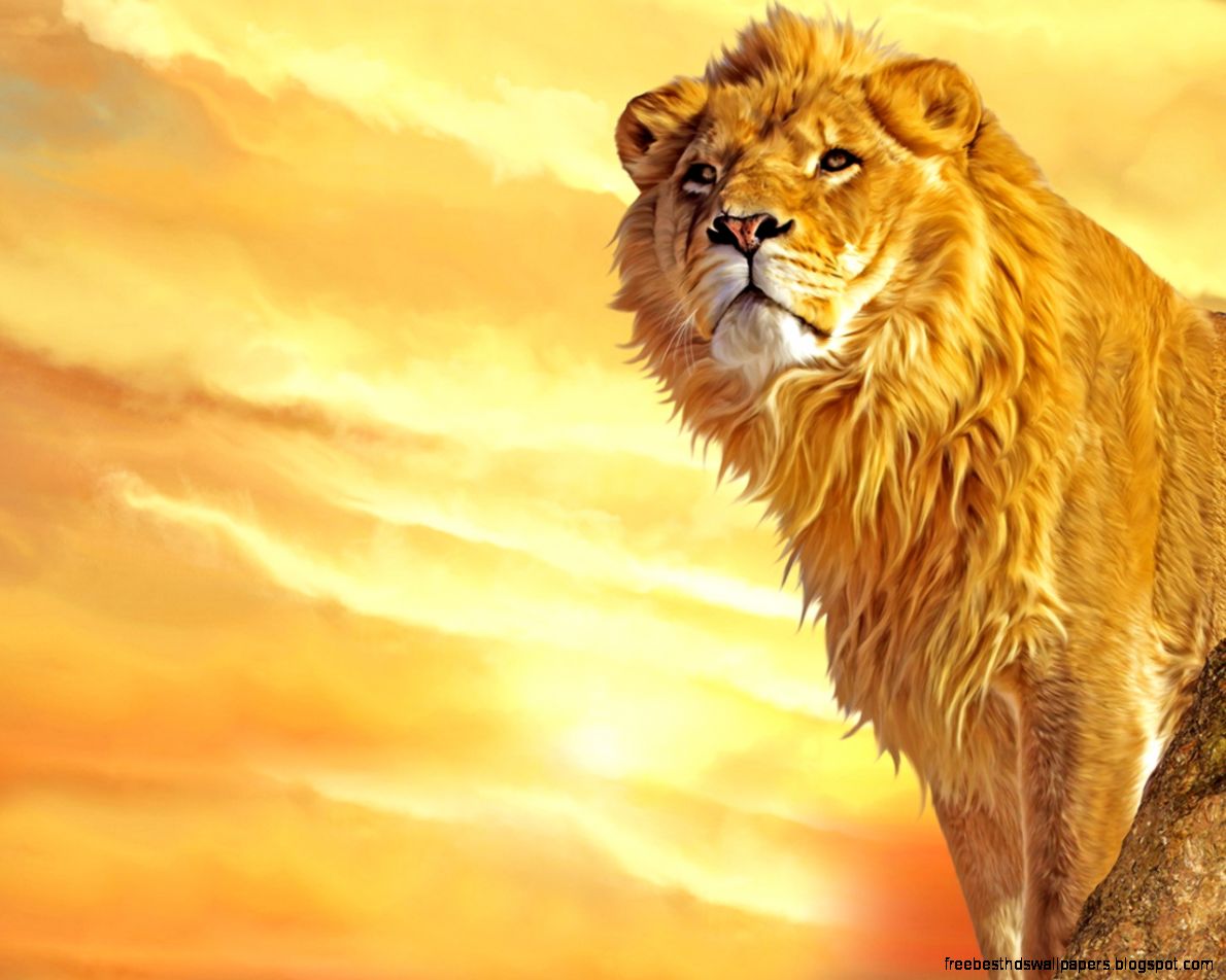 Lions Lions