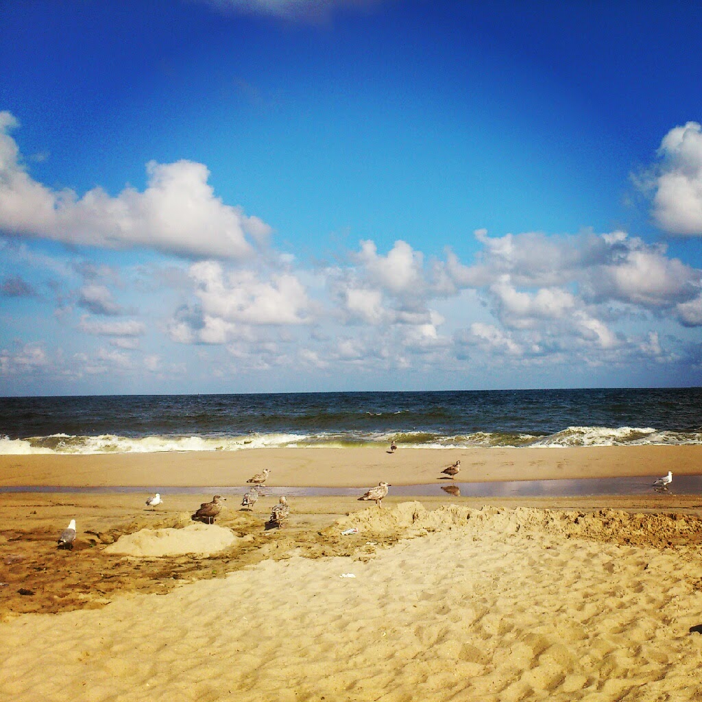 Fantastic Feathers P for Point Pleasant Beach, NJ AtoZChallenge