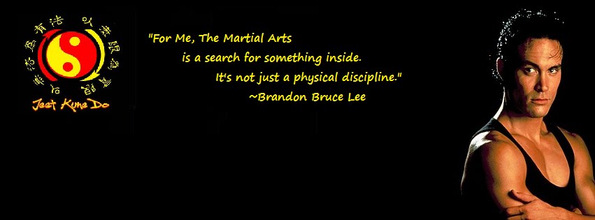 Journal of a Martial Artist