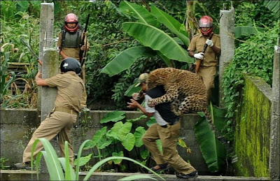 Leopard Attacks Villagers in India Seen On www.coolpicturegallery.us