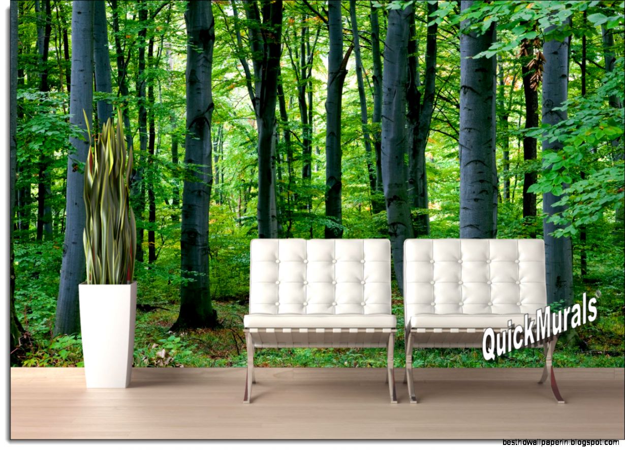 Woodland Forest Peel and Stick Wall Mural Woodland Forest Peel and Stick Wall Mural