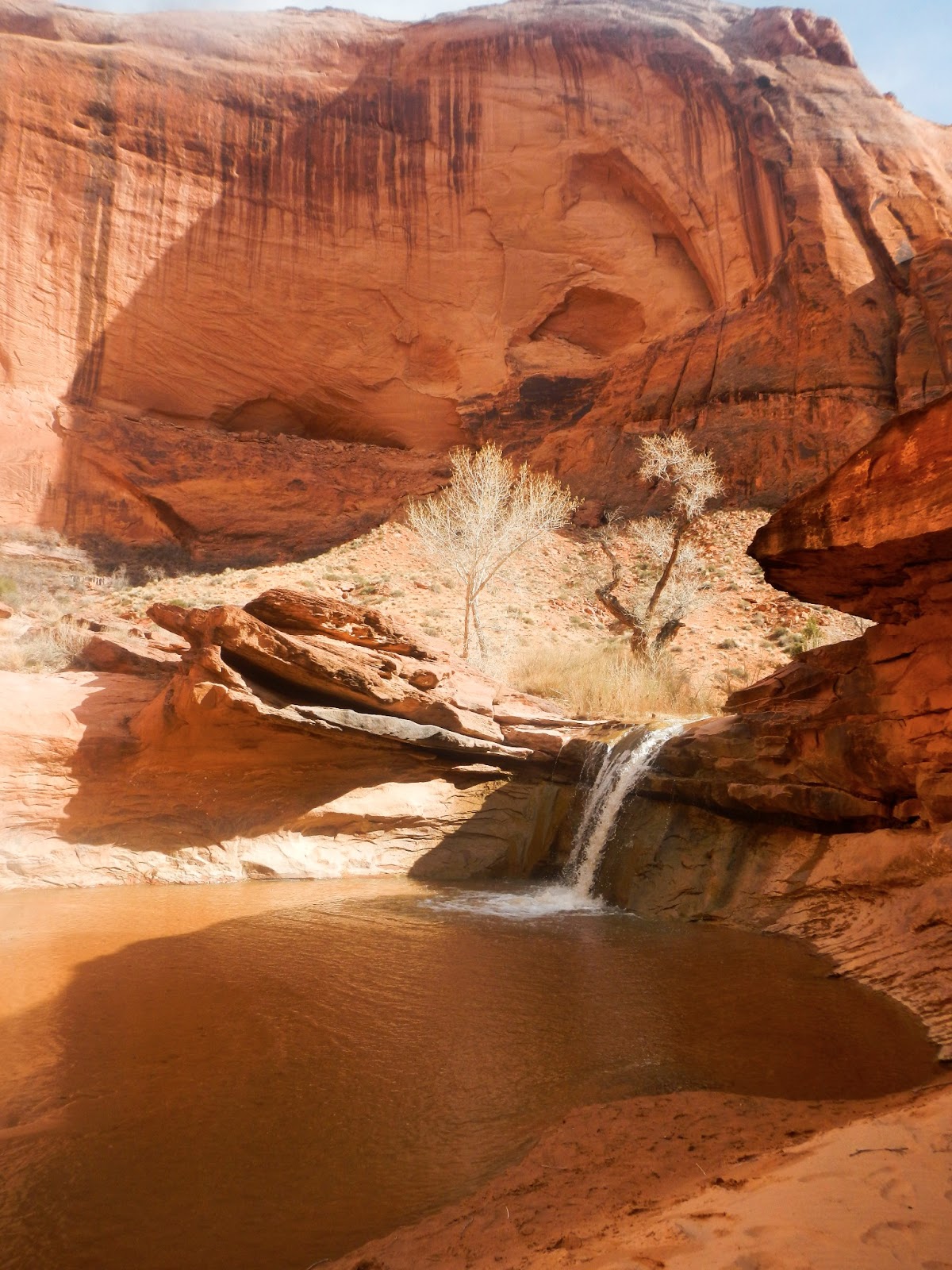 Everything For The Outdoors Backpacking in Coyote Gulch