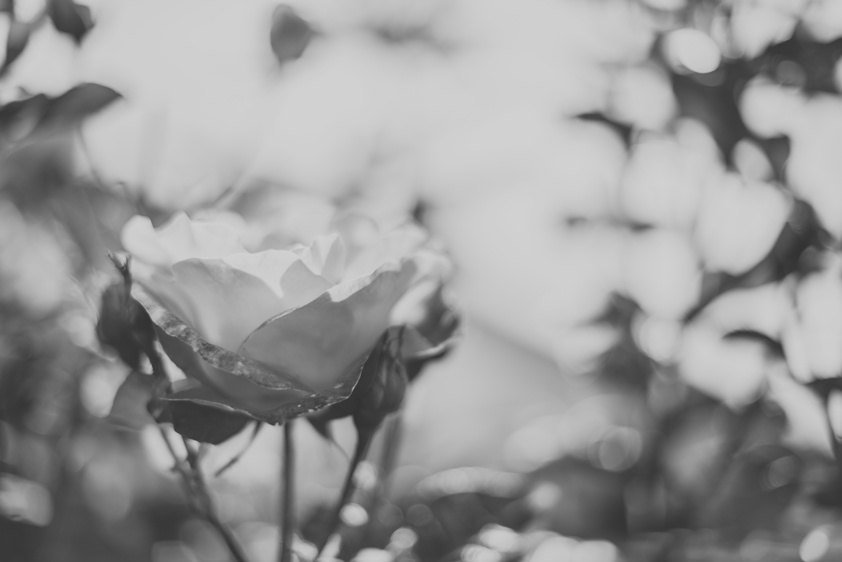 ©estermiriamfotografia