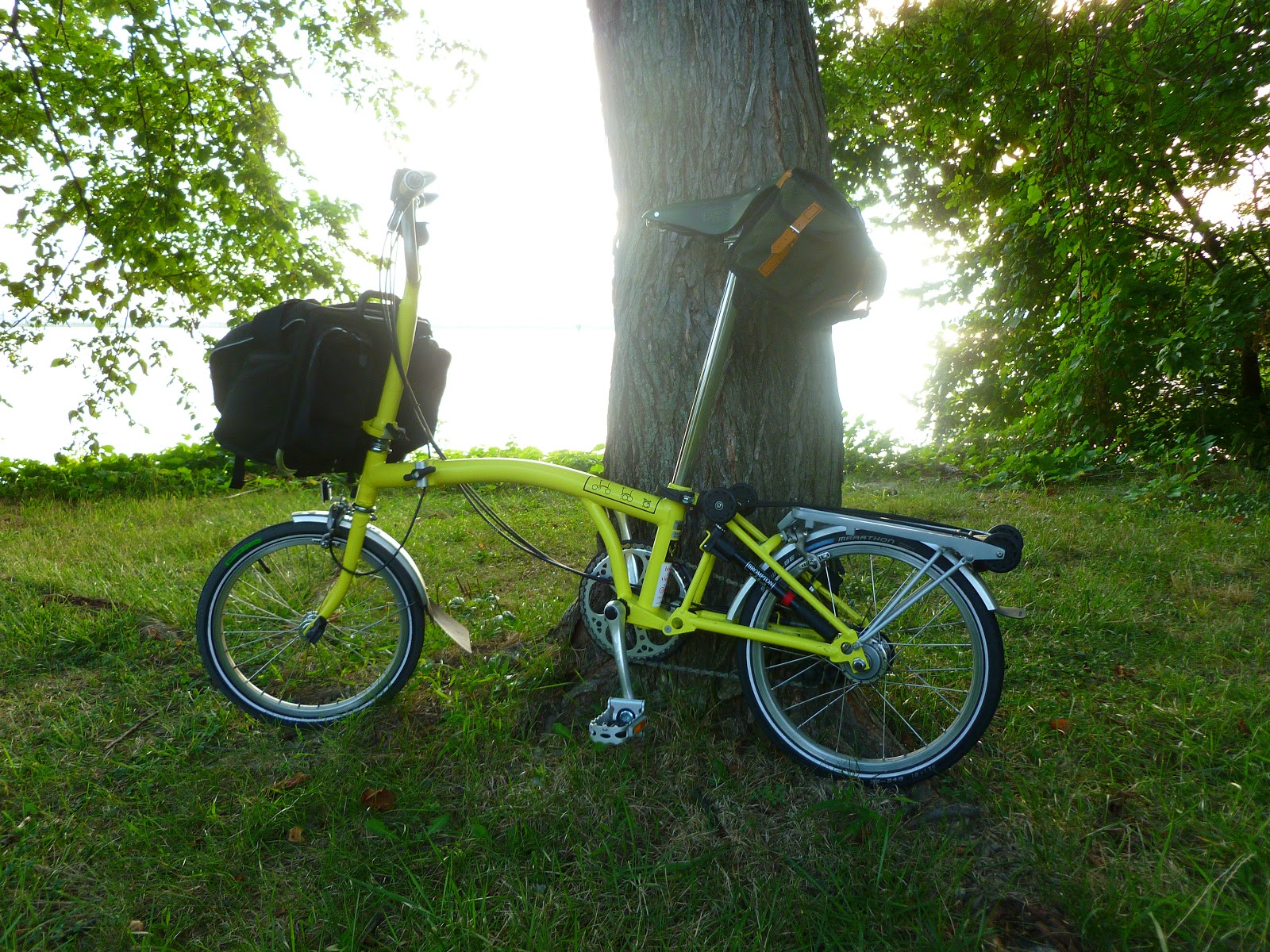 craigslist brompton