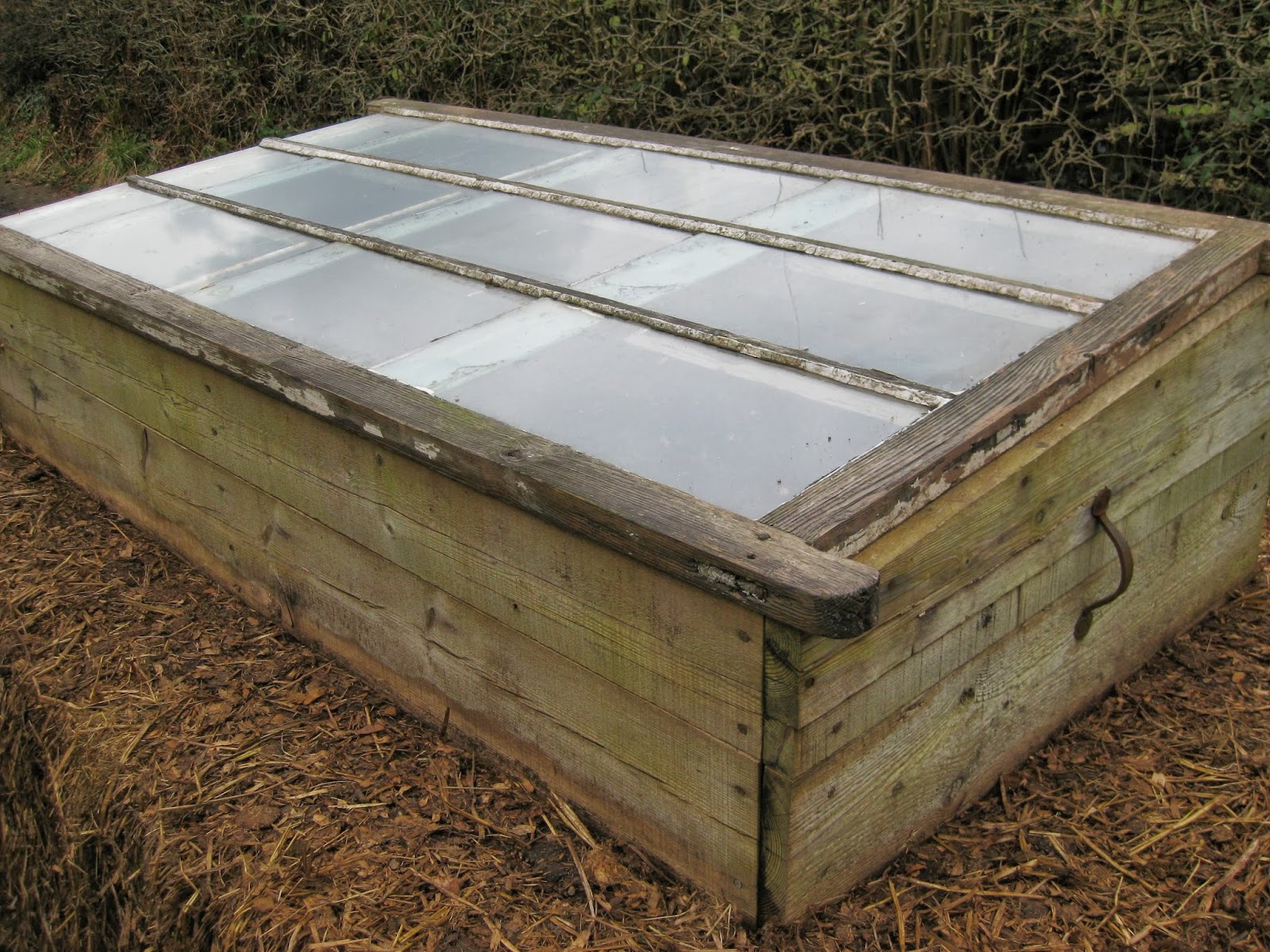 up the garden path diary of a hotbed