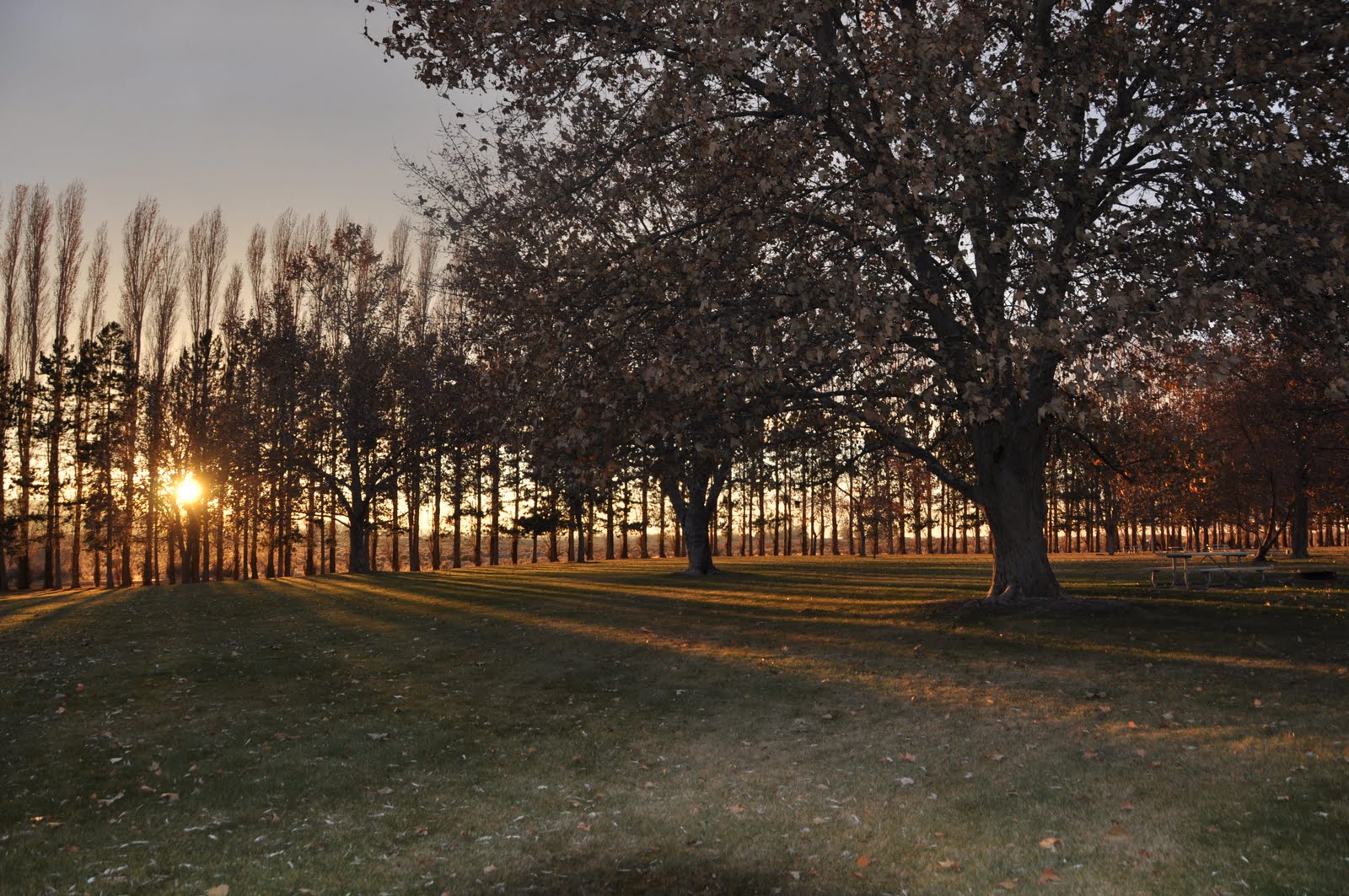 Salt and Pepper Adventures! Potholes State Park, Othello, WA, USA