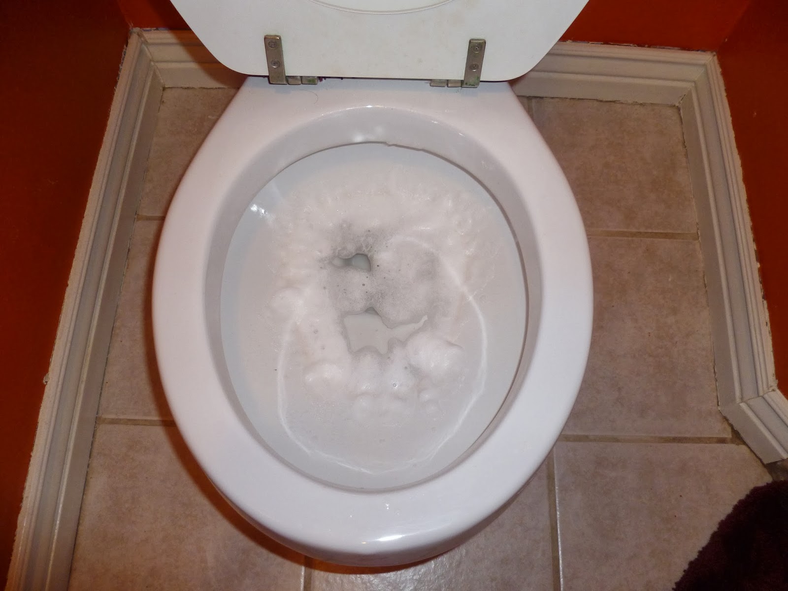 Loving Life Simply Ring Around the Toilet!