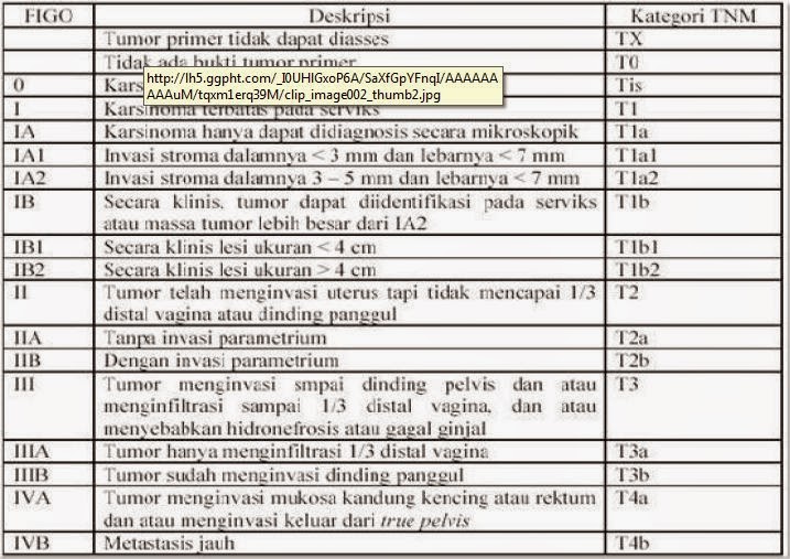Tentang Kanker Serviks | Berbagi Ilmu Kesehatan