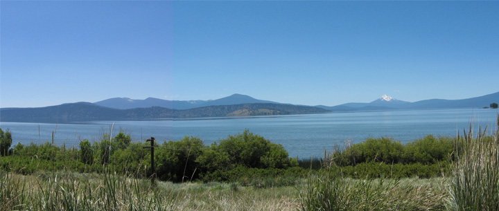 quand harry rencontre sally vostfr streaming