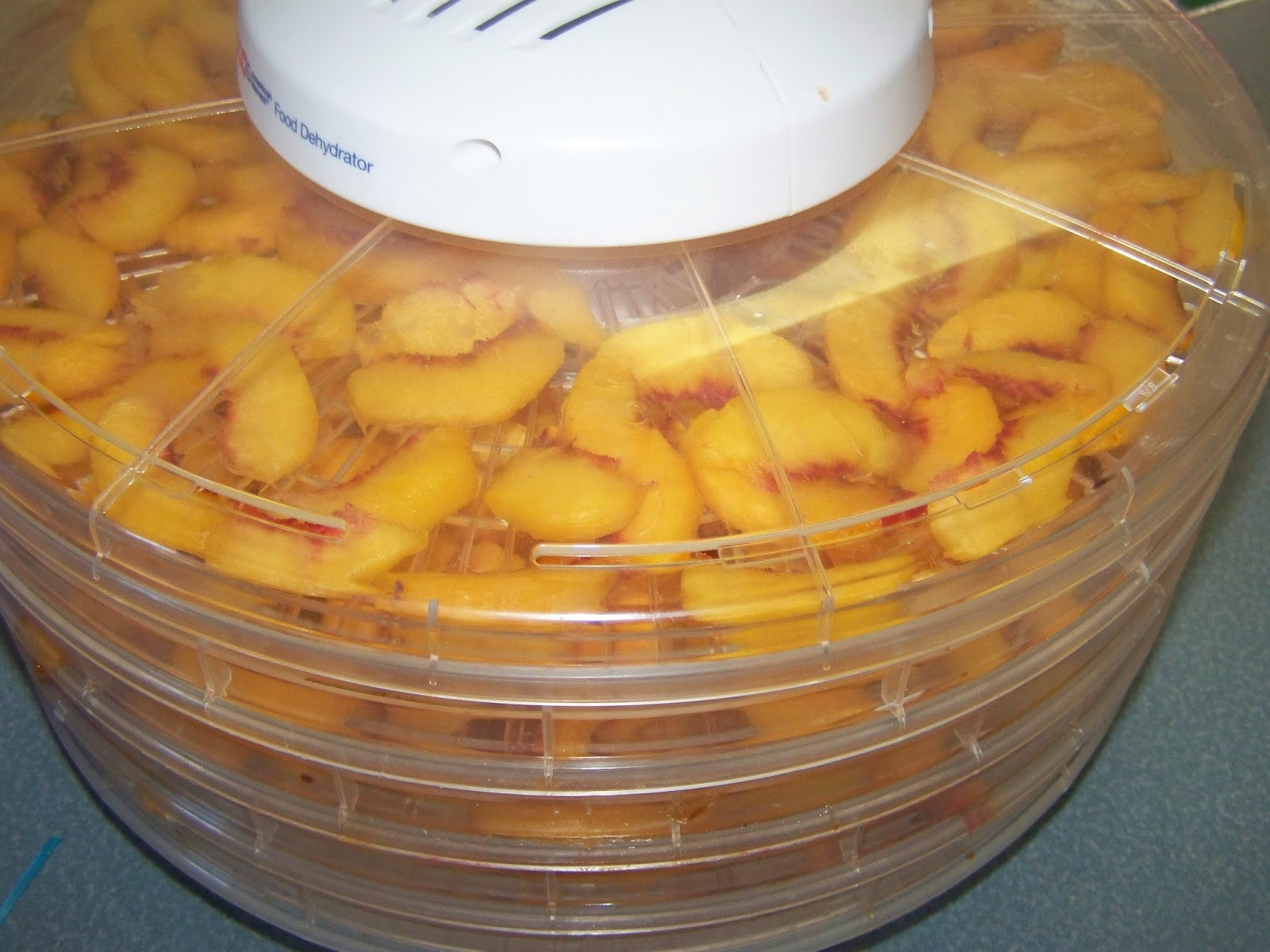 A to Z for Moms Like Me Dehydrating Peaches