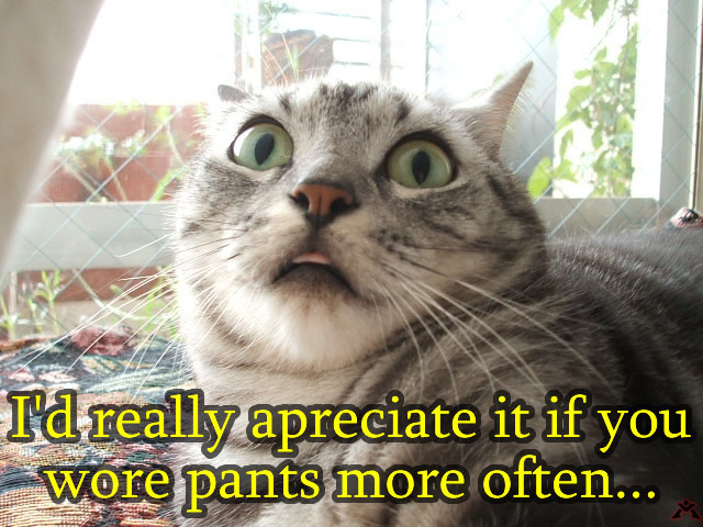 [Image: funny-pictures-cats-watch-caption-2012-6.jpg]