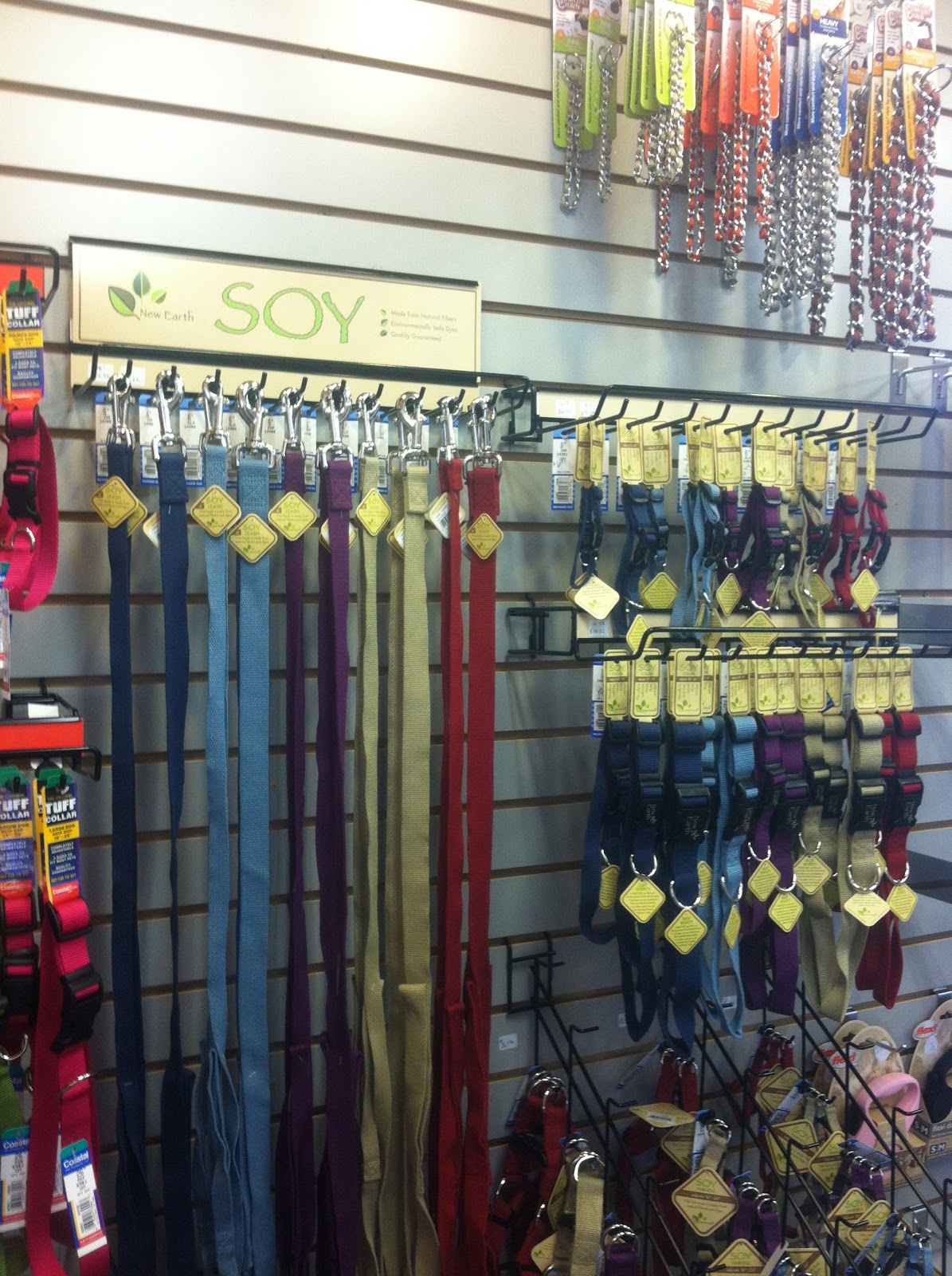 A Girl's Best Friend Village Pet Supplies