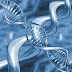 DNA europeu é mais novo do que se acreditava