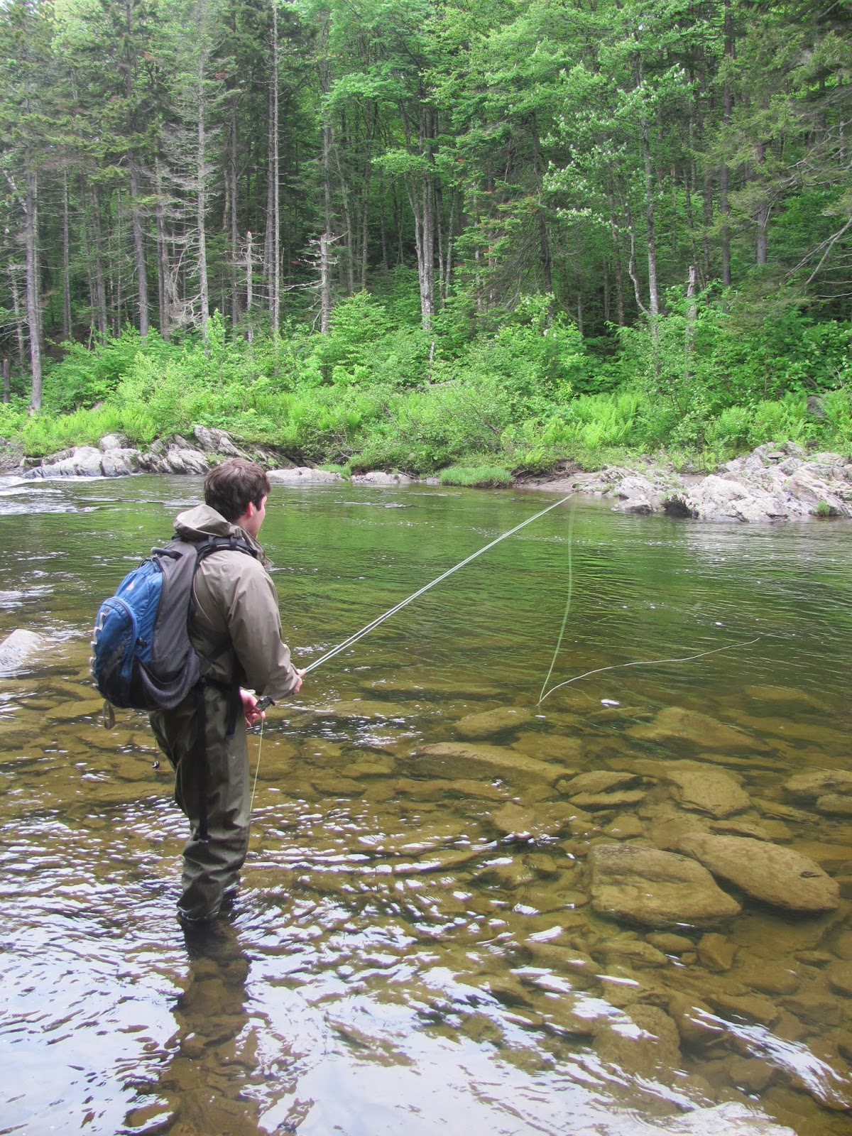 Hooks Hackle Chronicles Of A New England Flyfisherman The