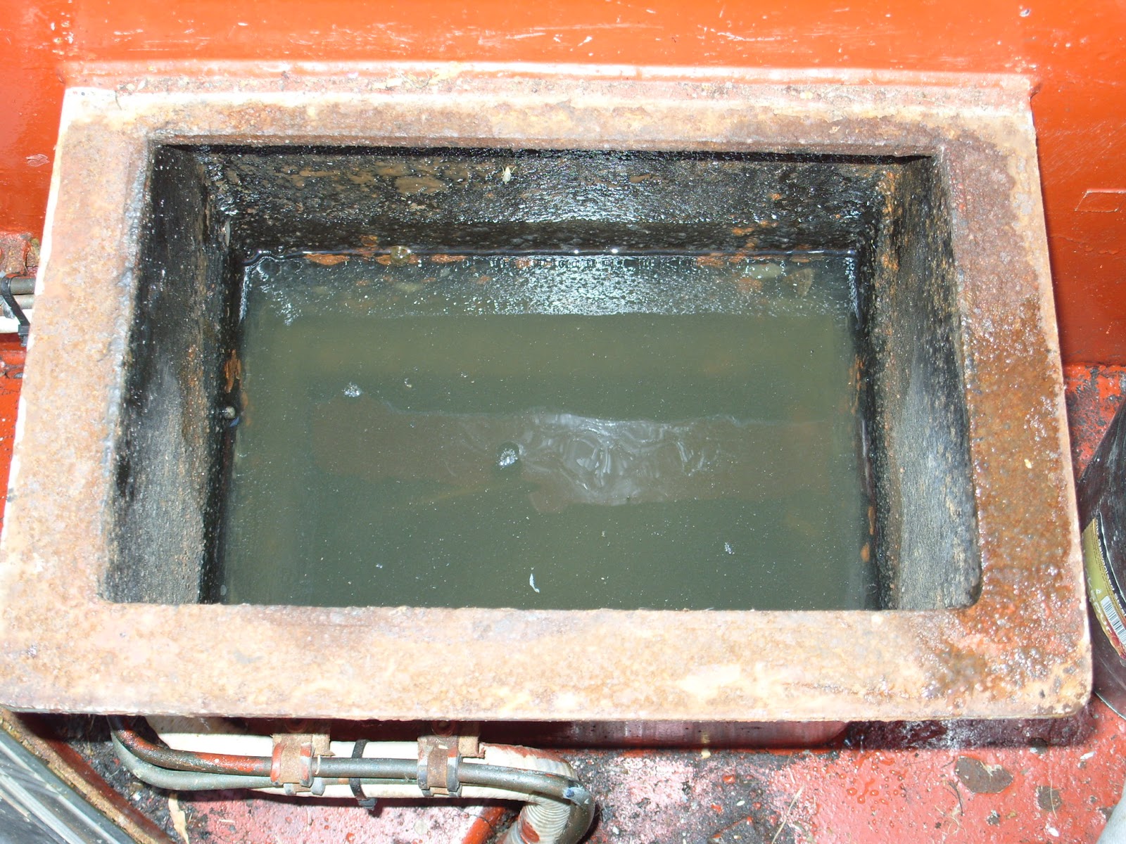 Ali and Baz Afloat Wonders Of The Weed Hatch