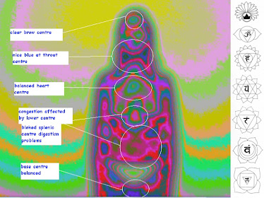 the chakras seen live with Biofield imaging