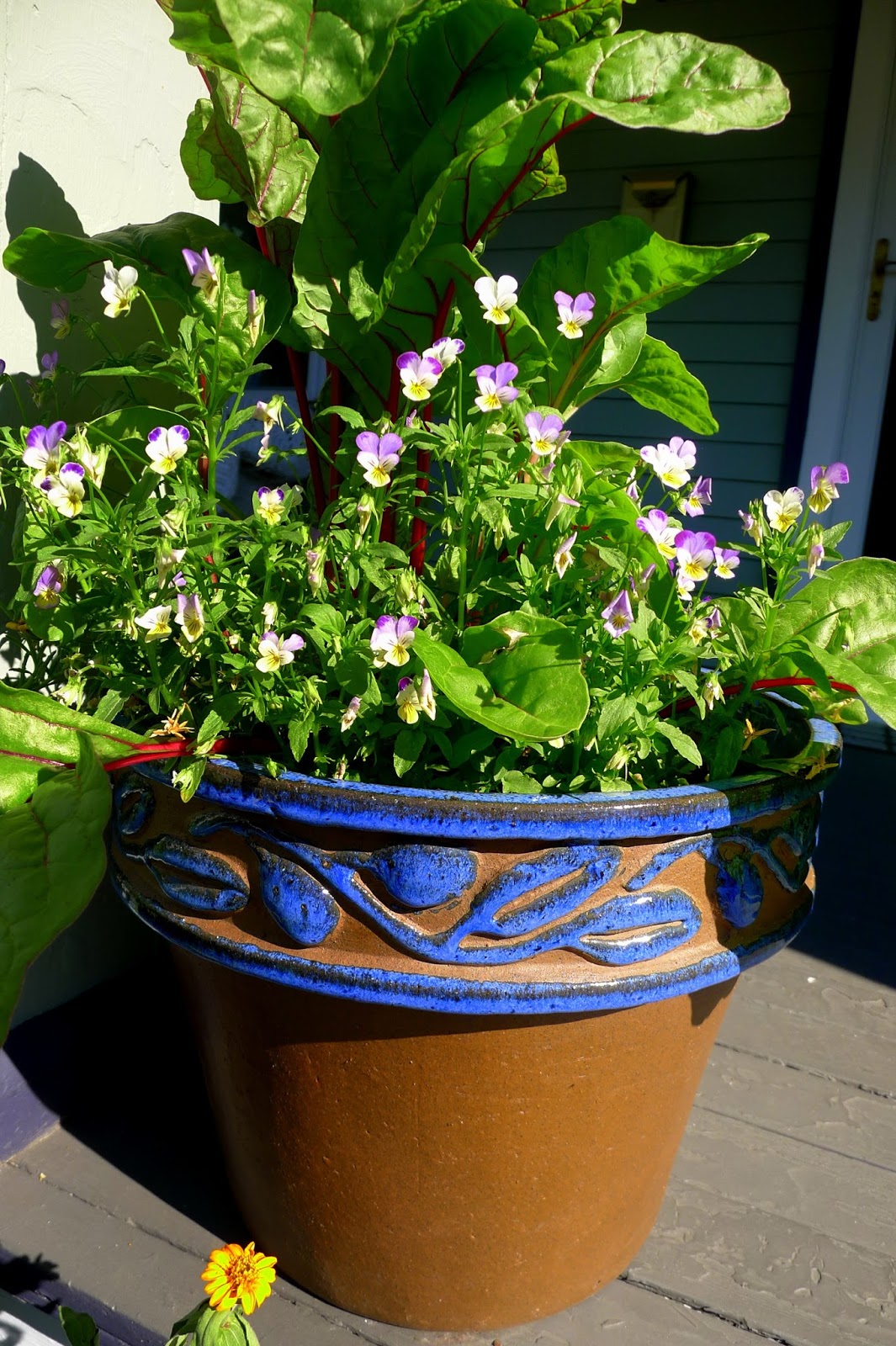 Less Noise, More Green Edible Landscaping filling containers with edible plants