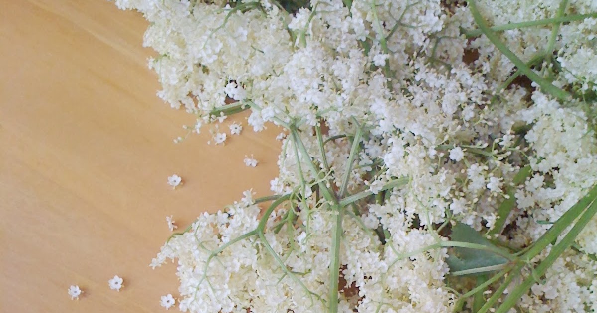 Alessandra Zecchini Elderberry Flower Fritters