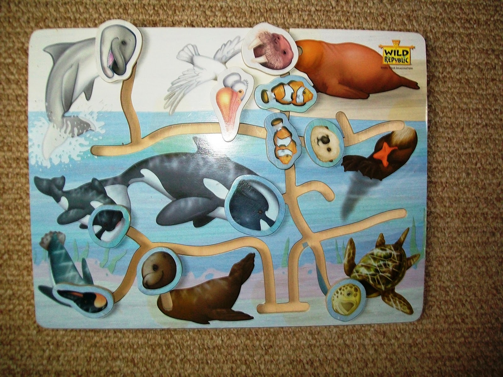 The Earth Endangered Species & Habitats Every Star Is Different