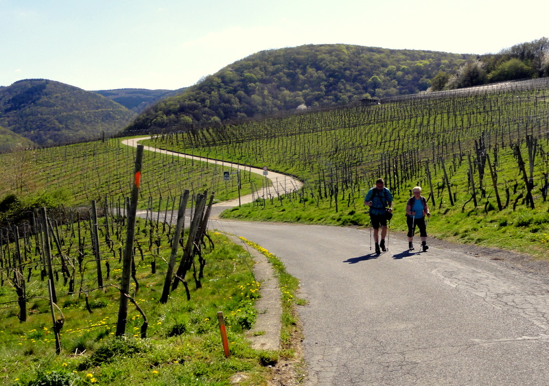 Germany’s Red Wine Trail Hike from Ahrweiler to Marienthal Travel and Lifestyle Diaries