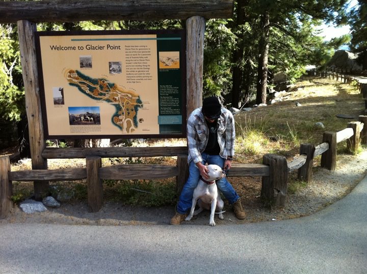 francie leaning on her owner's legs, as they sit in front of a sign for Glacier Point in Yosemite Valley