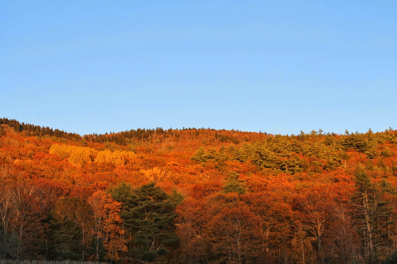 wander north rockland and camden