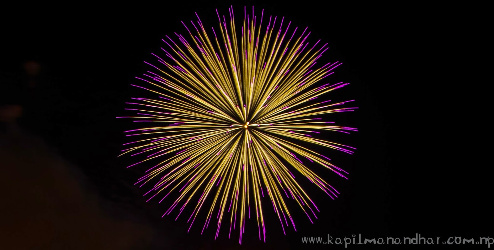 Beautiful Fireworks in Edo River(Edogawa) Tokyo2014 It is really flower of Fire. 江戸川 花火大会2014年
