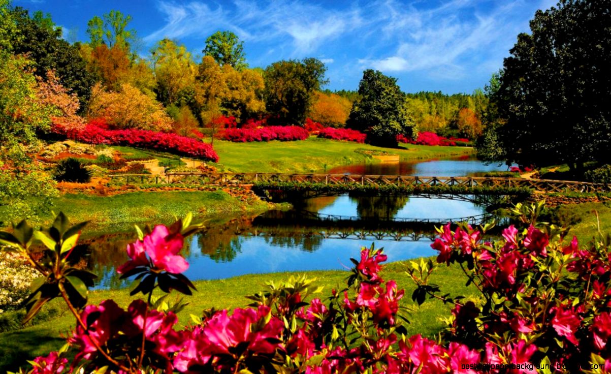 Spring Desktop Backgrounds 1280 X 1024 Spring Desktop Backgrounds 1280 X 1024