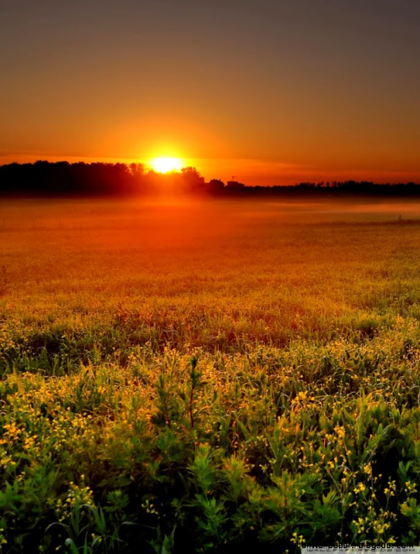 Fog At Sunrise HD desktop wallpaper High Definition Fullscreen Fog At Sunrise HD desktop wallpaper High Definition Fullscreen