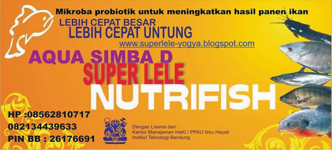 SUPERLELE probiotik ikan lele dan obat ikan lele 