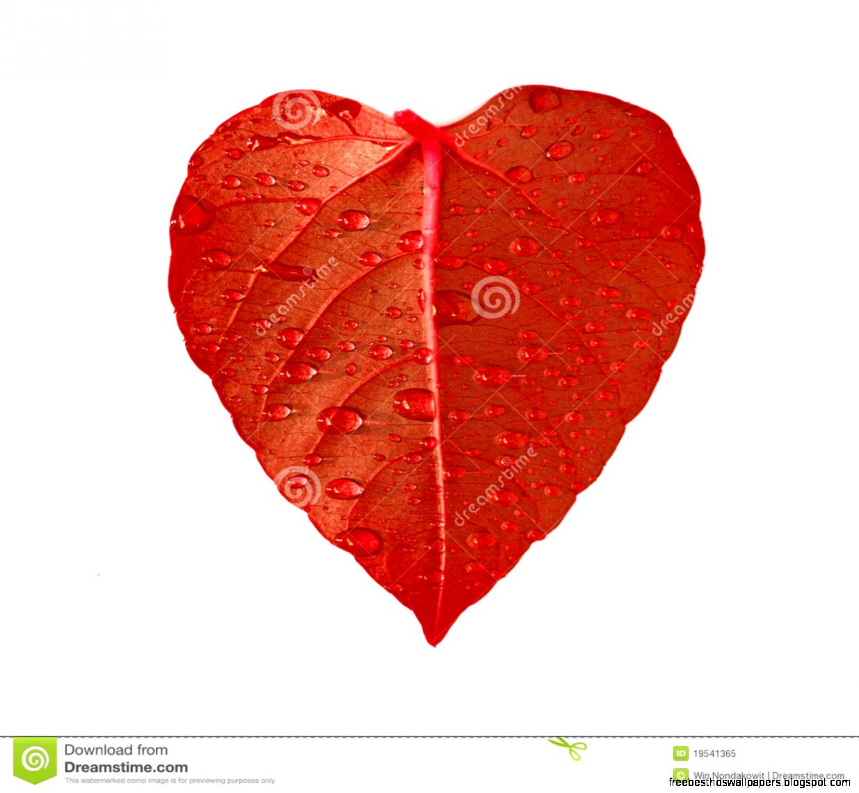 Red Heart Leaf Royalty Free Stock Photo Image 19541365 Red Heart Leaf Royalty Free Stock Photo Image 19541365