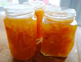 Clementine Marmalade Recipe