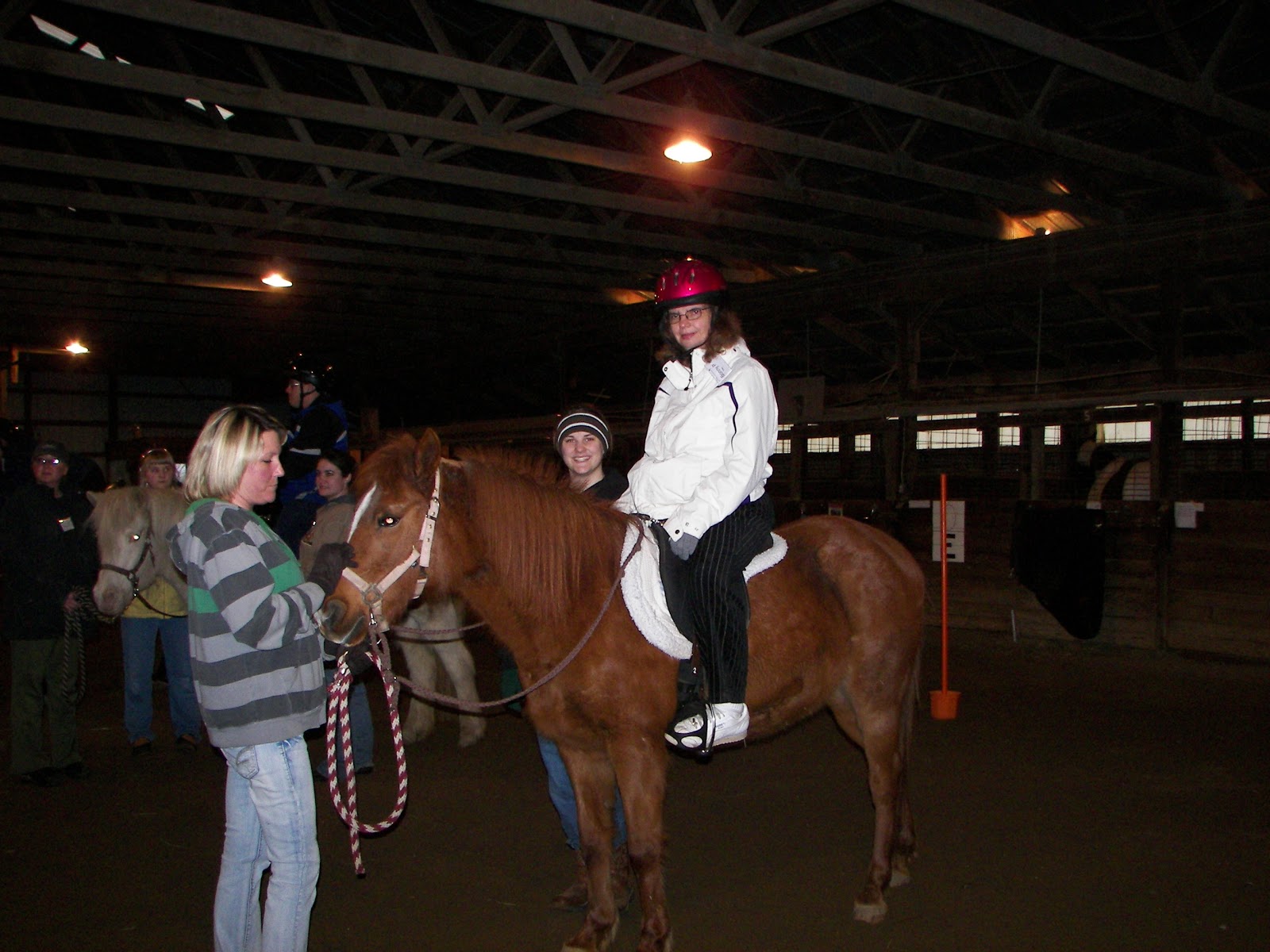 Special Needs Therapeutic Handicap Horseback Riding Home Modification