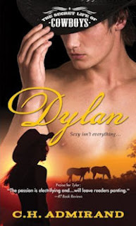 Guest Review: Dylan by C. H. Admirand