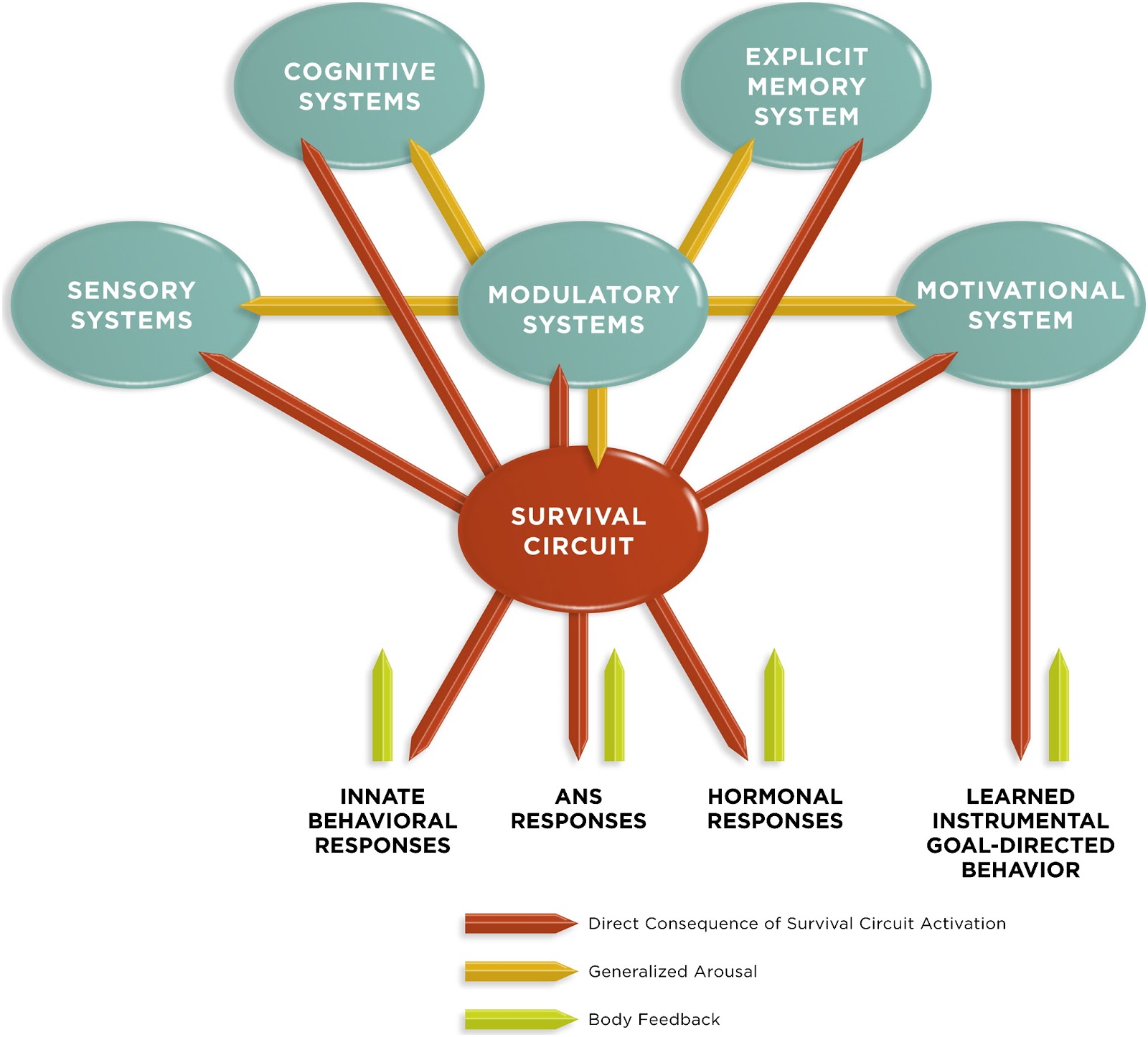 Origin of the Universe, Life and Consciousness: Rethinking the