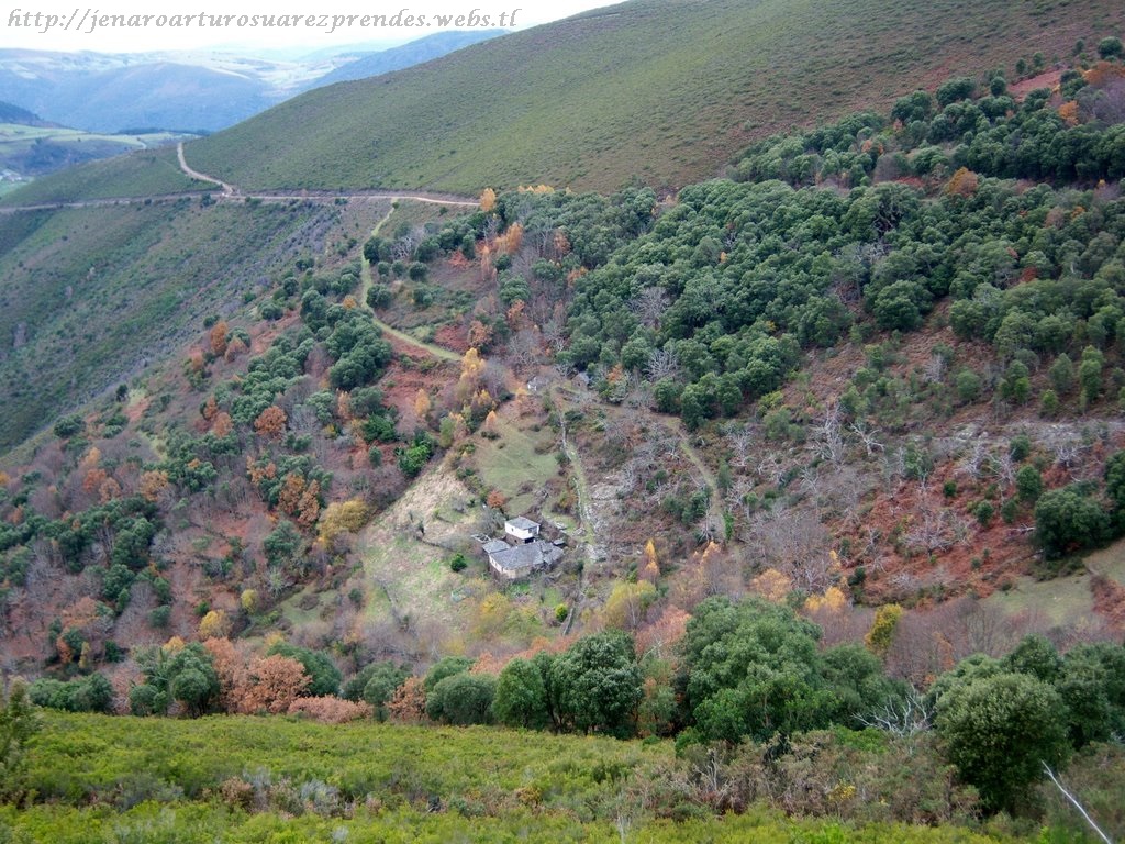 Foto de Alcornocal de Boxo en Allande, Asturias