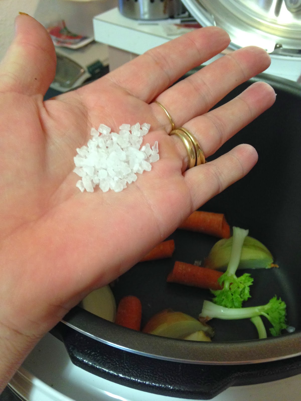 Tracy Cooks in Austin Whole Chicken in the pressure cooker, the new