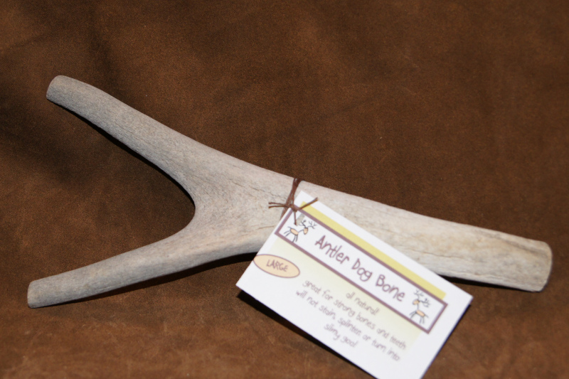 Natural Antler Dog Chews Choosing the perfect Antler Chews