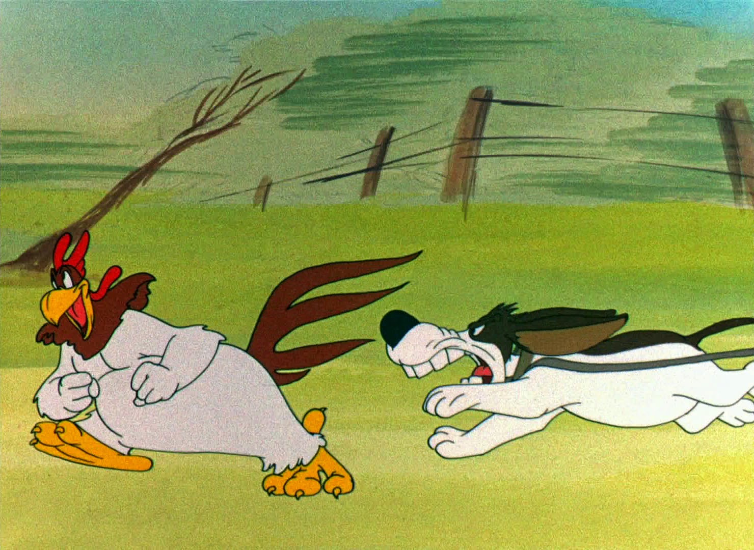 Looney Tunes Pictures: "Walky Talky Hawky"