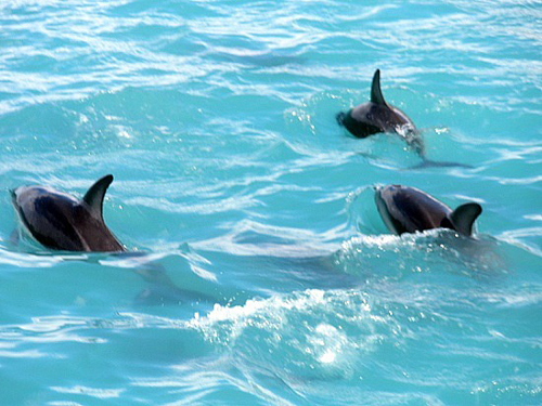 [Image: du-lich-new-zealand-01.jpg]