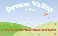 Top Three Pick at Dream Valley Challenges