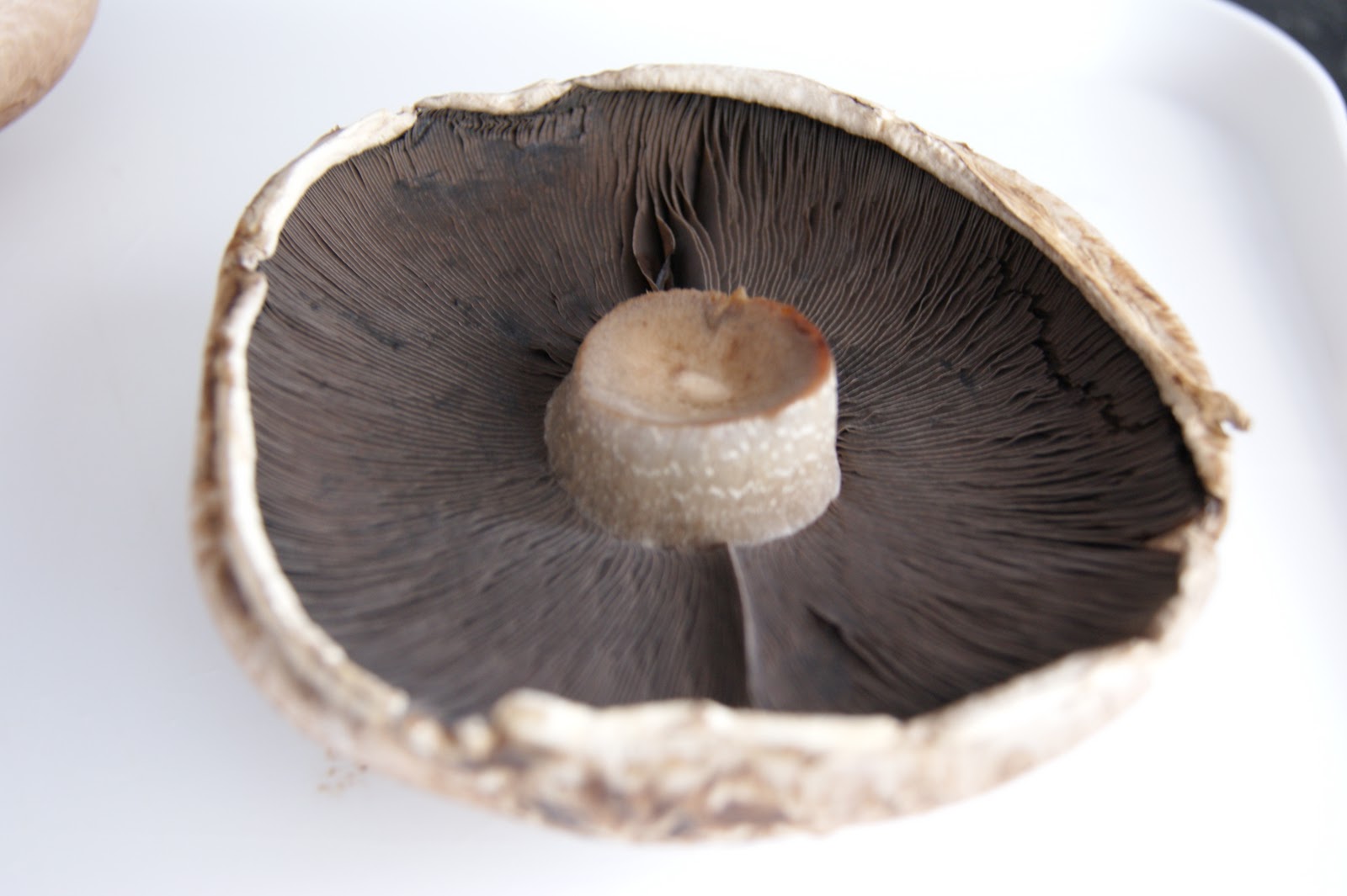 Bbq Mushroom
