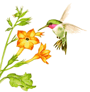 Resultado de imagen para gifs animados de flores e borboletas
