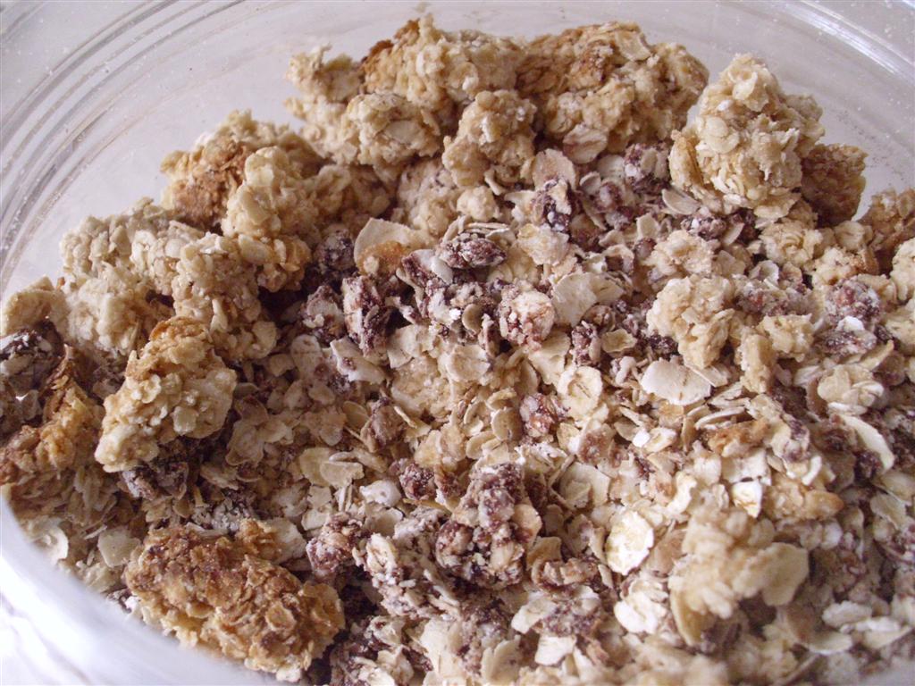 The DoItYourself Mom DIY Chocolate Peanut Butter Granola