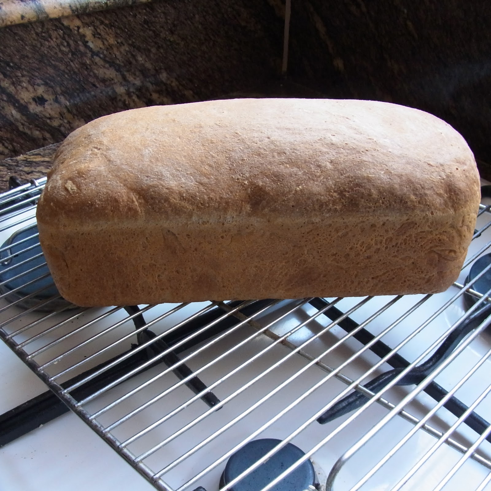 BreadMan Talking Spelt Rye Bread