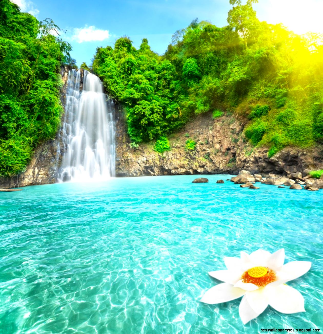 Beautiful Waterfalls with Flowers Beautiful Waterfalls with Flowers